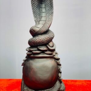 Rắn gỗ trắc.