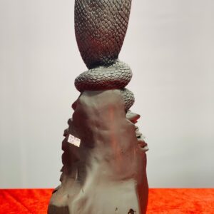 Rắn gỗ trắc.