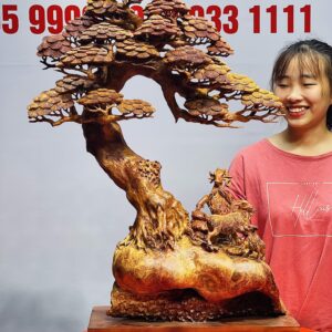 Tam dương đứng gốc tùng gỗ nu hương.