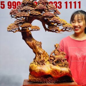 Tam dương đứng gốc tùng gỗ nu hương.