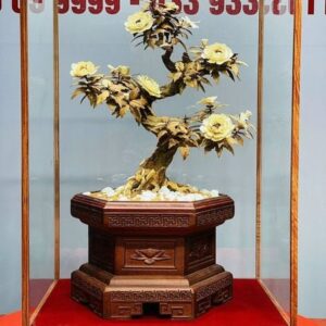 Bonsai Hoa Phù Dung Ngà Voi Gỗ Hoàng Đàn