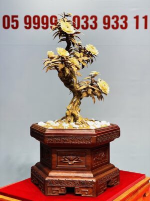 Bonsai Hoa Phù Dung Ngà Voi Gỗ Hoàng Đàn