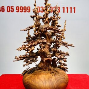 Bình Hoa Mai Gỗ Sưa