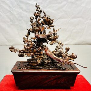 Chậu Hoa Phù Dung Chim Trĩ Gỗ Trắc