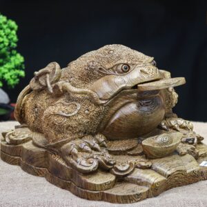 Thiềm thừ mun đuôi công