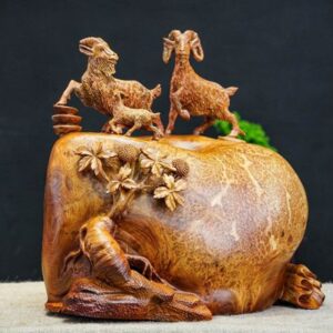 Tam dương nu hương
