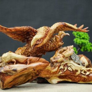 đại bàng săn mồi